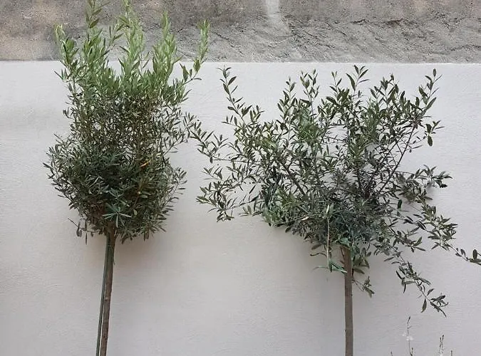 Maison Vue Cite 2 Holiday home